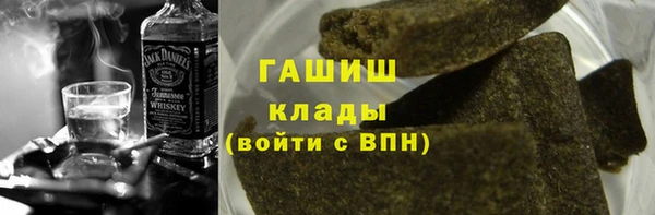 индика Медногорск