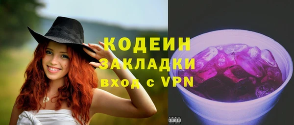 индика Медногорск