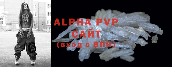 индика Медногорск