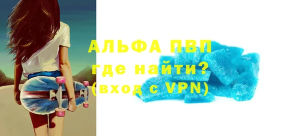 индика Медногорск