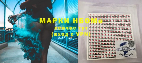 индика Медногорск