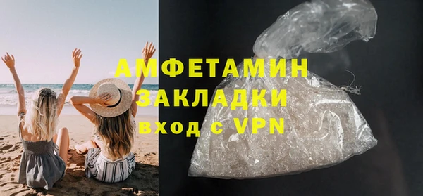 индика Медногорск